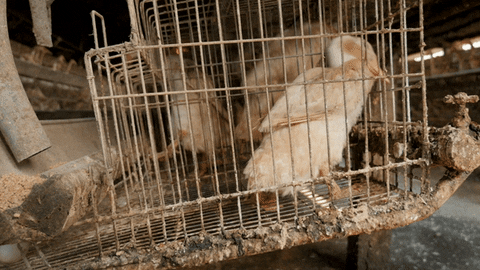 easttw giphyupload GIF