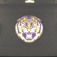 College Sports Football GIF by LSU Tigers