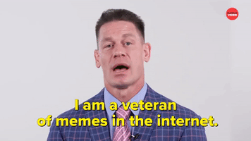 I Am a Veteran of Memes