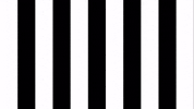 Soccer Celebration GIF by SK Sturm Graz