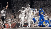 National Football League GIF by NFL