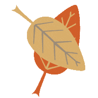 Coffee Fall Sticker by LePainQuotidien
