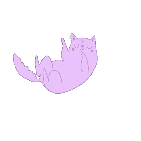 chasingafterdear cat sticker kitten meow Sticker