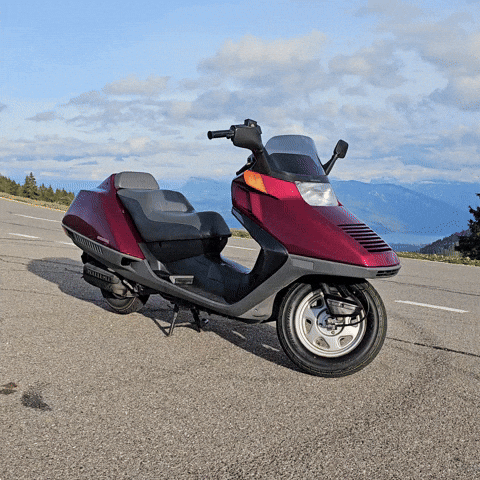 Lasermax01 lasermax01 GIF