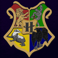 Harry Potter Ecuador GIF