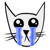 Cat Crying Sticker
