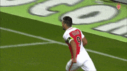 ligue 1 falcao GIF by AS Monaco