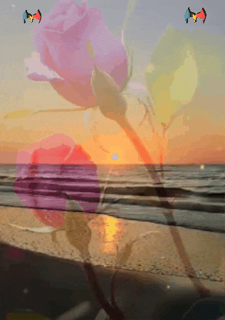 Mar Te Amo GIF by Murcianys LLC