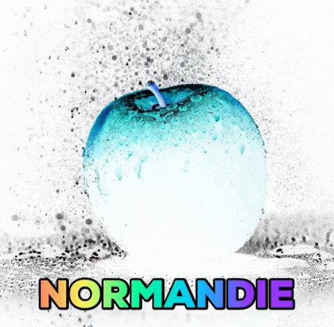 normandiedigitaleconseil giphygifmaker lgbt bleu normandie GIF