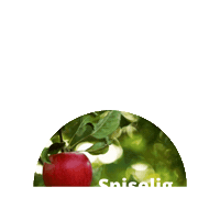 Tekst Sticker by Plantetorvet.dk