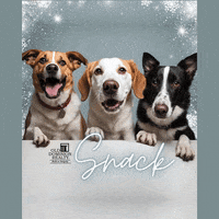 Eat Snow Day GIF by Old Dominion Realty