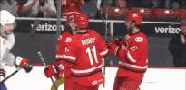 hockey GIF by Charlotte Checkers