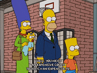 homer simpson episode 6 GIF