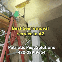 Ppsteam GIF by Patriotic Pest Solutions