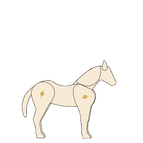 onapromise giphyupload happy joy horse Sticker