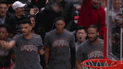 excited chicago bulls GIF by NBA