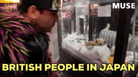 DoctorCOOKIEnom_nom giphygifmaker giphyattribution rock japan GIF