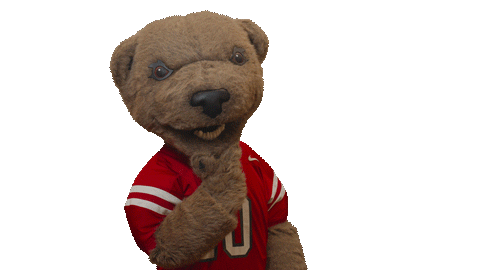cornell university touchdown Sticker