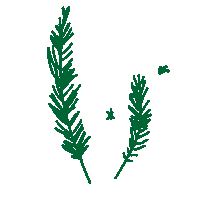 December Magyargif Sticker