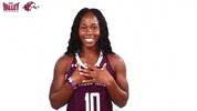 Southern Illinois Mvc GIF by Missouri Valley Conference