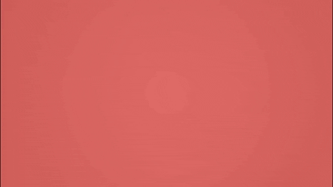 Geodesk giphygifmaker GIF