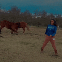 dezmineann black play horse silly GIF
