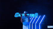 North Carolina Baseball GIF by UNC Tar Heels