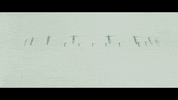 flying all our gods have abandoned us GIF by Epitaph Records