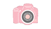 Rose Empower Sticker by BellaRosaBoudoir