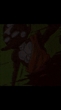 Money Crypto GIF by HegeCoin