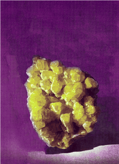 ewanjonesmorris dowager ewanjonesmorris ewan jones morris annameredith GIF