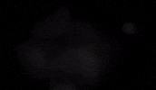 BeNatural movie woman black and white history GIF
