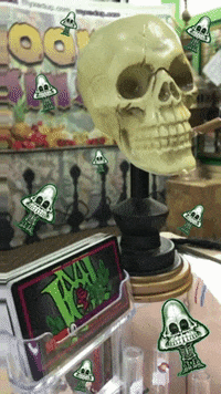 Halloween Skull GIF by MyxedUp