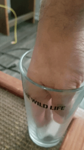TheApocalypse giphyupload GIF