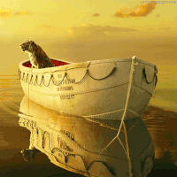 GIF by 20th Century Fox Home Entertainment