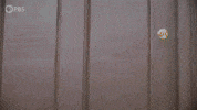 Episode 8 Hello GIF by PBS