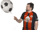 Ea Sports Fifa Sticker by Bundesliga