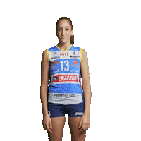 Link Volleyball Sticker by ImocoVolley