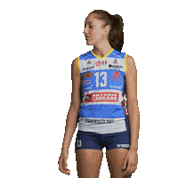 Ball Volleyball Sticker by ImocoVolley