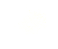 3D Flower Sticker by Quasi Crystals