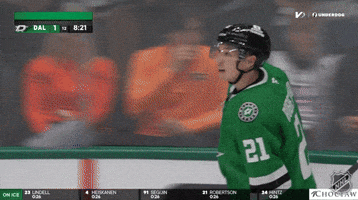Happy National Hockey League GIF by NHL
