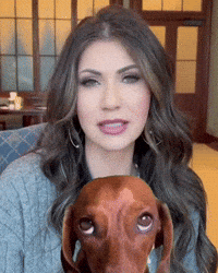 Old Yeller Puppy GIF by Respective