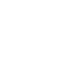 Illustration Flower Sticker by Storm Agency