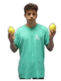 nyxellapp what idk fruit lemon Sticker