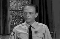 GIF by Giphy QA