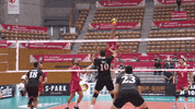 Rejected No Way GIF by Volleyball World