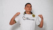 South Carolina Soccer GIF by Charleston Battery