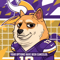 Shiba Inu Football GIF by Doge Pound