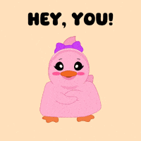 Hey You Hello GIF by MeetDuckey
