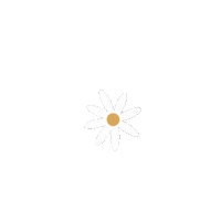 anaagudeloo flower flowers minimal flores Sticker